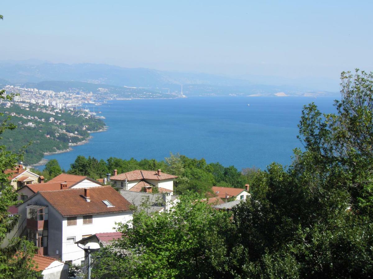 Apartment Gogo Opatija Exterior foto